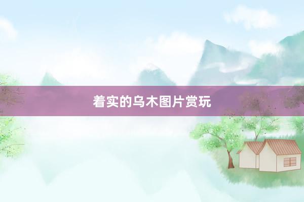 着实的乌木图片赏玩