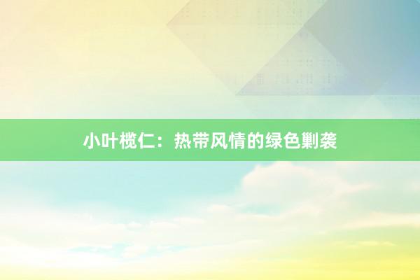 小叶榄仁：热带风情的绿色剿袭